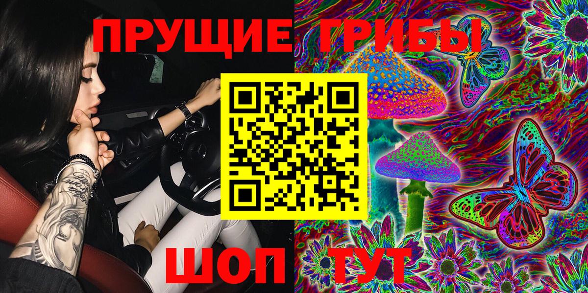 Псилоцибиновые грибы GOLDEN TEACHER Бирск